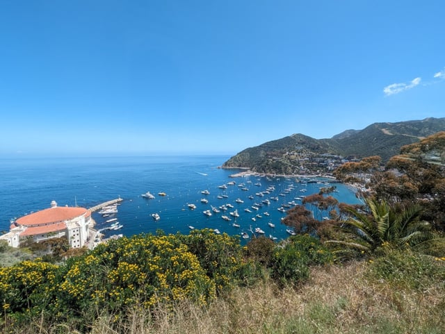 A view of Avalon Harbor. (Photo by Jimmy Camp)