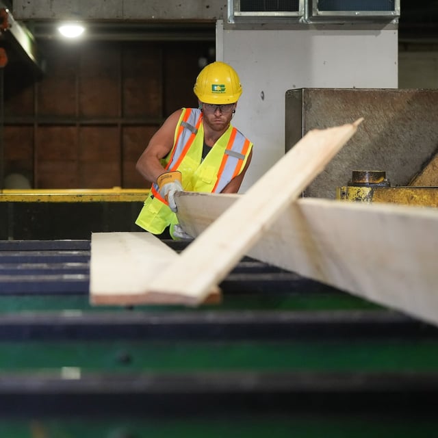 A worker sorts lumber at the Gorman Brothers Lumber sawmill, in West Kelowna, B.C., on Tuesday, August 5, 2025. THE CANADIAN PRESS/Darryl Dyck