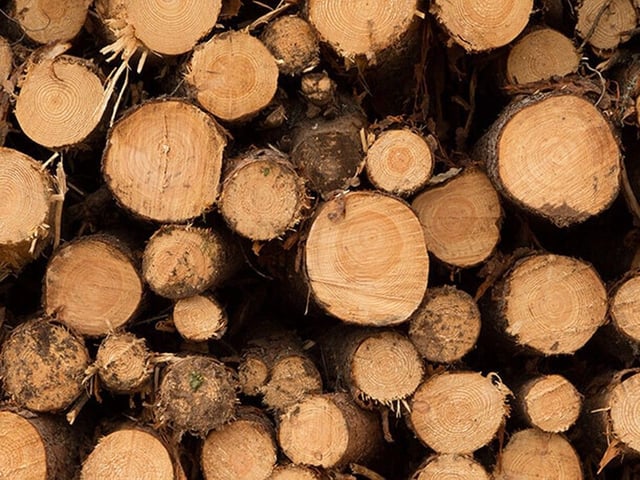 U.S. President Donald Trump has issued new tariffs that aim to further punish Canadian softwood lumber producers.