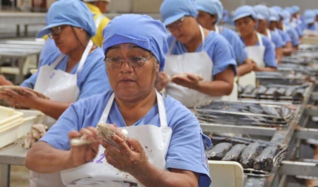 Empleo en Perú: 44% de empresas no hará cambios y solo 15% reducirá personal al cierre del 2025
