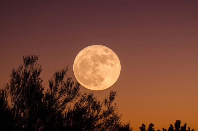La superluna o Luna de cosecha será visible durante octubre (Unsplash/Ganapathy Kumar)