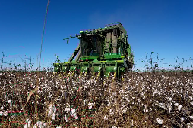 FILE - A cotton picker moves through Chris Hopkins' cotton field, Dec. 6, 2024, near Lyons, Ga. (AP Photo/Mike Stewart, File)