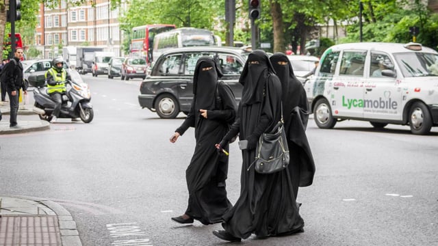 Efforts to draw up an official definition of Islamophobia led to concerns that it would become a de facto blasphemy law