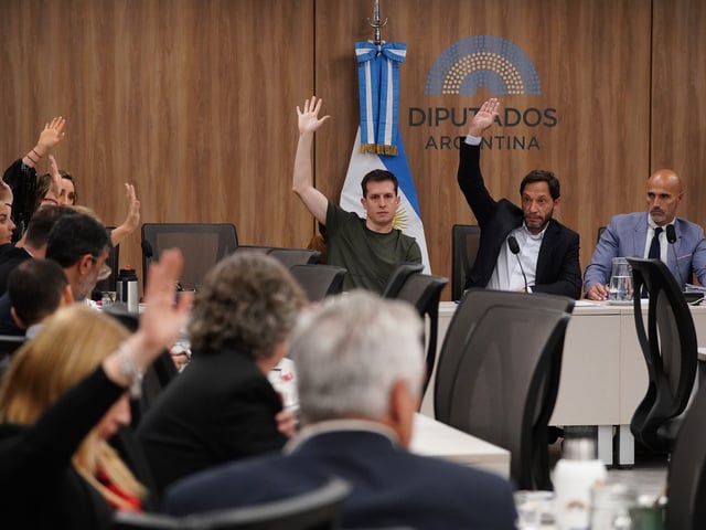 COMISIÓN ESTAFA $LIBRA. Se citaron para este Martes a Karina Milei y al Ministro Mariano Cúneo Libarona. Ambos faltaron la comisión.
Fotos Emmanuel Fernández - FTP CLARIN EMA01792.JPG Z EFernandz Efernandez