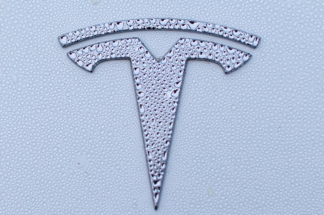 A Tesla logo is shown on a Model Y vehicle in Encinitas, California, U.S.,October 20, 2023.     REUTERS/Mike Blake/File Photo