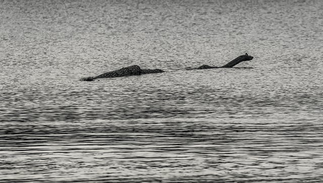 The History Of The Loch Ness Monster – And The Theories On What It Could Have Been