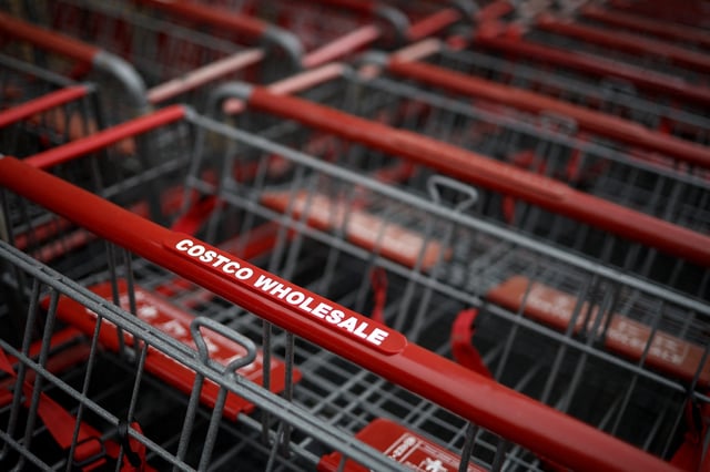 Shopping carts are seen at the Costco store ahead of Black Friday in Arlington, Virginia, U.S., November 27, 2024.