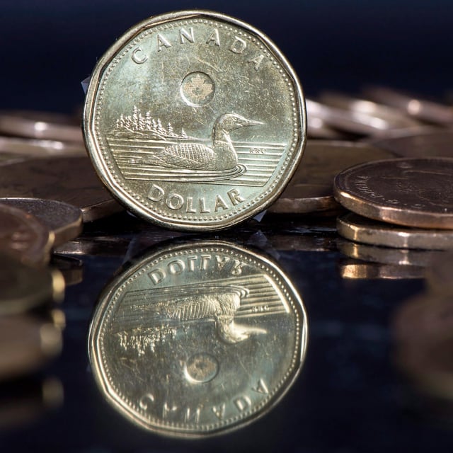 Money Matters — which was developed by ABC Life Literacy Canada in 2011 and is delivered annually to thousands of learners through community organizations like Project Search — is just one option available to Canadians looking to increase their understanding of financial matters. The Canadian dollar coin, the Loonie, is displayed Friday, January 30, 2015 in Montreal. THE CANADIAN PRESS/Paul Chiasson