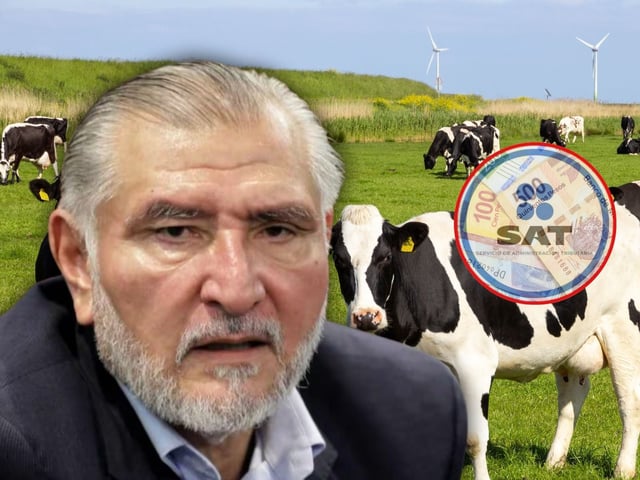 “No oculto nada”: Adán Augusto López y sus ingresos por 150 cabezas de ganado al mes. | Crédito: El Universal/Especial