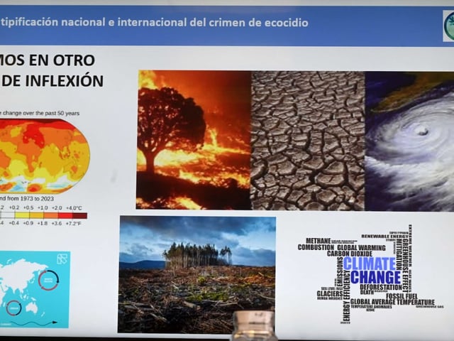 AL es la región del mundo donde se registran más agresiones a defensoras y defensores de derechos ambientales: asesinatos y desapariciones forzadas se cuentan entre las situaciones más graves.