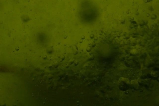 A screenshot from a video showing multiple spontaneous discharge events (microlightning) occurring between adjacent methane–air microbubbles under high–density bubbling conditions. The video was recorded using a high–speed camera (Photron T2410) at 24,000 frames per second (fps). It captures 0.5 seconds of real time and is played back at 3 fps, 8000 times slower than actual speed to highlight sub-millisecond flash events distributed across the field of view.