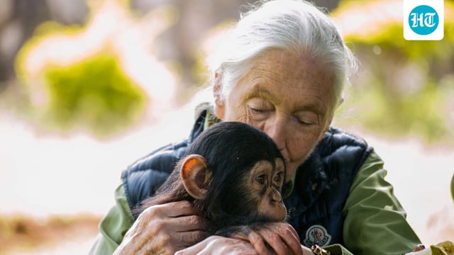British primatologist Jane Goodall visits a chimpanzee rescue center on June 9, 2018 in Entebbe, Uganda.