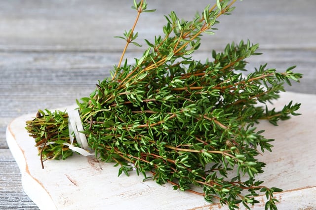 The molecular sensor contains a phenolic compound called thymol, which is found in thyme