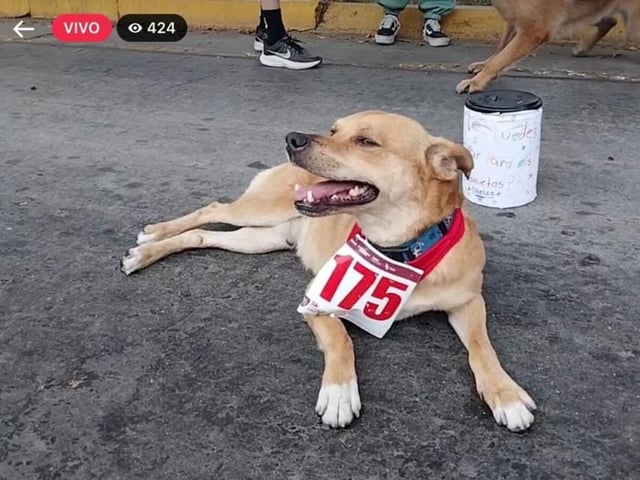 muere presuntamente envenenado