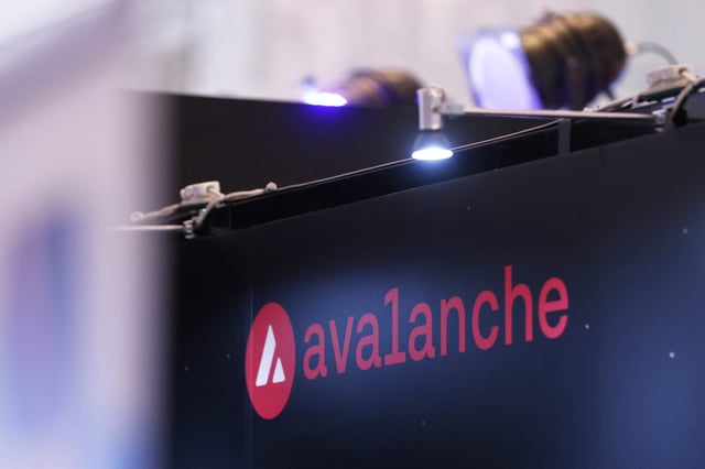 Avalanche is one of the most valuable tokens in crypto.