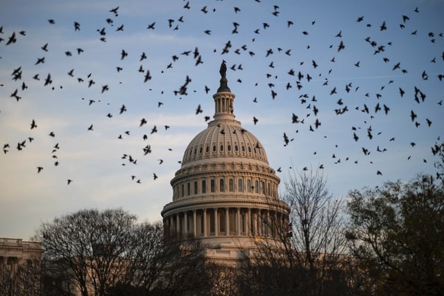 A flock of birds flies near the U.S. Capitol at dusk on December 2, 2021 in Washington, DC. With a deadline at midnight on Friday, Congressional leaders are working to pass a continuing resolution to fund the government and avoid a government shutdown. 