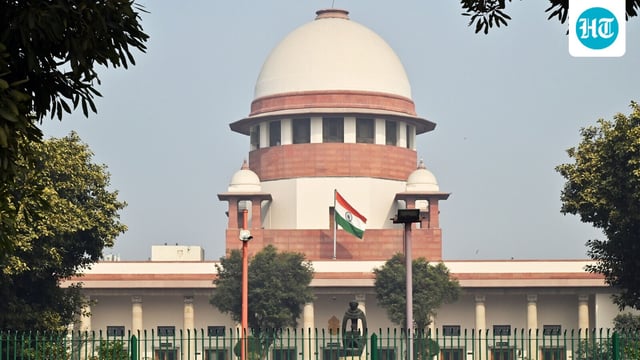 The court order came on an application moved by the Municipal Corporation of Delhi (MCD)