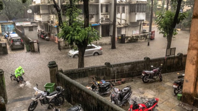 Rain (2)