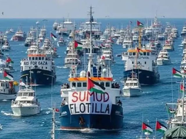 Flotilla para Gaza continúa su travesía pese a navíos interceptados por Israel