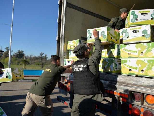 El camión con bananas que fue interceptado por Gendarmería en el operativo donde encontraron más de 444 kilogramos de cocaína en Monte Grande
