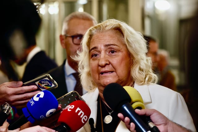 María José Ferrer San Segundo antes del pleno municipal.