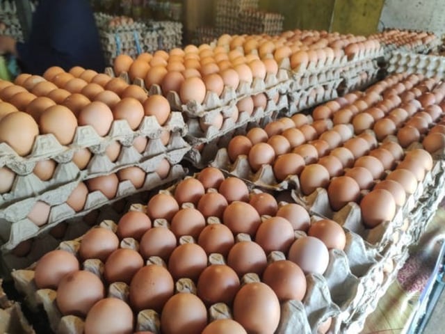 Huevos. Foto: iStock.