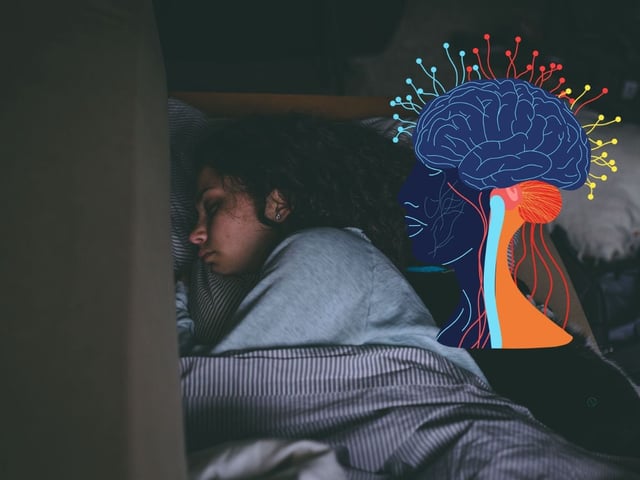 Los alarmantes efectos de la falta de sueño en el cerebro Foto Canva