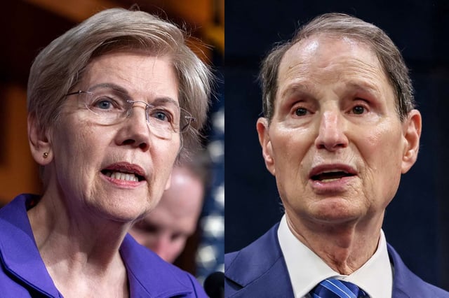 Sen. Elizabeth Warren, D-Mass., Sen. Ron Wyden, D-Ore.
