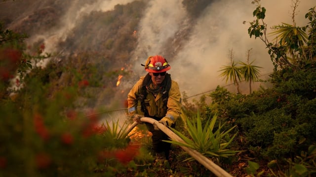 A firefighter sets up a hose while fighting the fire around Los Angeles in 2025. A new study shows how such societally destructive fires are affecting communities across the globe, based on insurance data. 