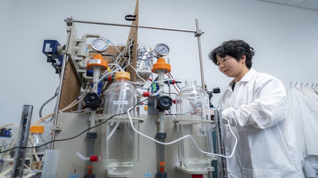 The new membrane offers an alternative way of extracting the lithium via electrodialysis