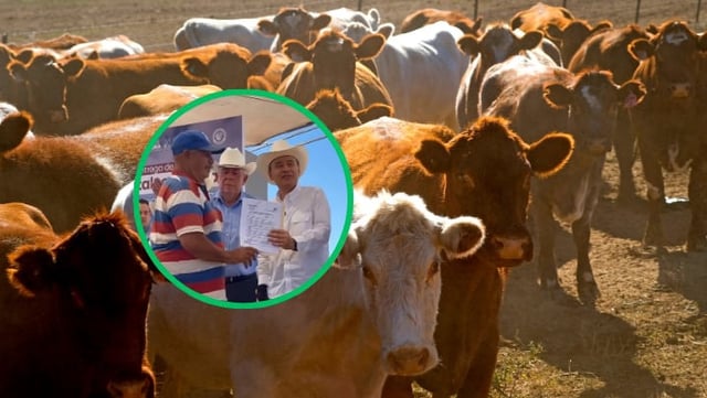 Foto: Captura de video/Canva.
Alfonso Durazo Montaño, afirmó que este proyecto pretende abrir la ganadería sonorense a otros comercios.