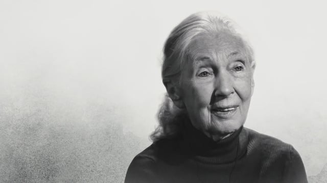 famous last words dr jane goodall new on netflix