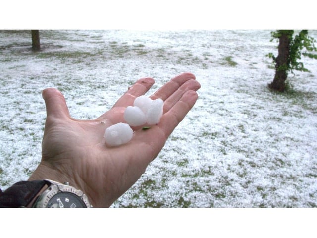 Emergencia agropecuaria en Entre Ríos por granizo y heladas