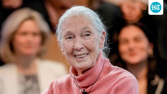 British primatologist Jane Goodall has died at 91. In her final Netflix interview, she urged people to protect the planet. (AP Photo/Markus Schreiber, File)