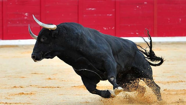 (alberto - stock.adobe.com)