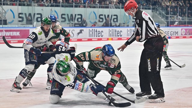 eisbaeren-berlin-eishockey