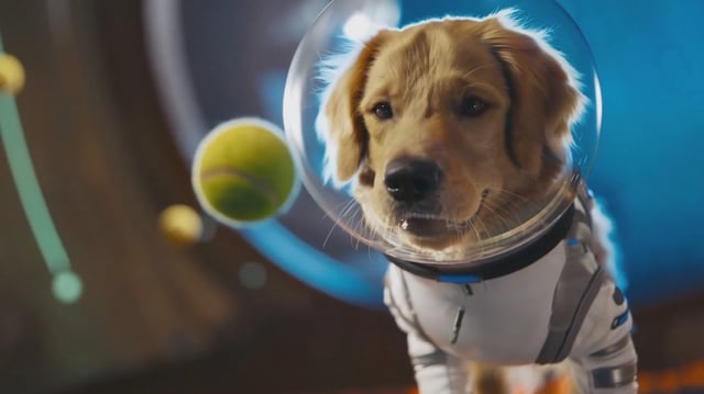 The Sora app uses AI to generate fun, very realistic videos from user prompts.