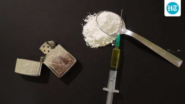 The contraband was seized by the DRI officials and both the passengers were placed under arrest