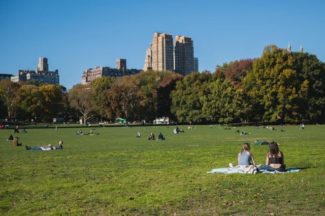 People sit in Sheep Meadow in Central Park on Nov. 10, 2021.