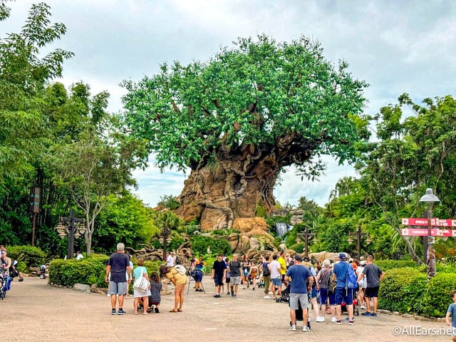 Animal Kingdom