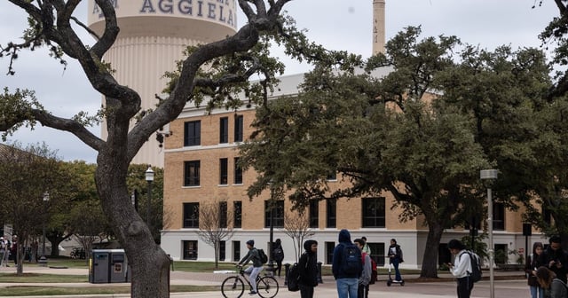 Students walk to class on the Texas A&M University campus in College Station on Nov. 15, 2022.