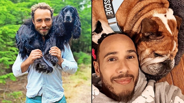 From left: James Middleton and Ella; Lewis Hamilton and Roscoe