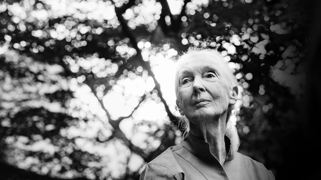 Jane Goodall in Japan in June 2023. Photo taken by Kaori Nishida