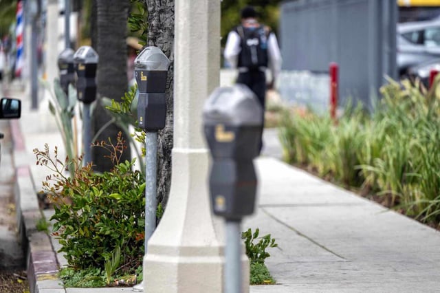 Parking meters along Vermont Avenue in Los Angeles  on Thursday, March 6, 2025.   (Photo by Hans Gutknecht, Los Angeles Daily News/SCNG)
