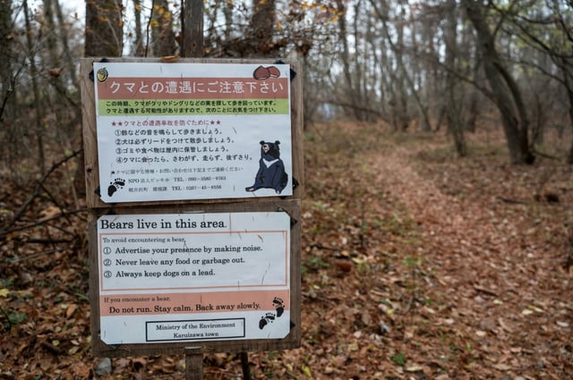 More and more wild bears have been spotted in Japan in recent years, even in residential areas, due to factors including a declining human population and climate change