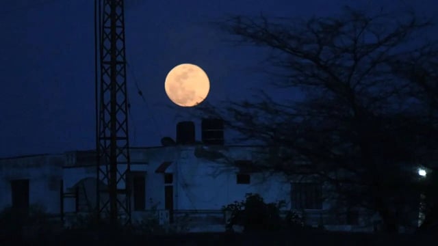 Sharad Purnima 2025: Know Correct Date, Shubh Muhurat And Other Important Details. (Image: Canva)