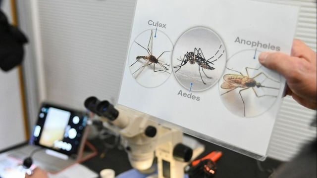 Objetivo Dengue es un programa interministeril de la provincia de Santa Fe.