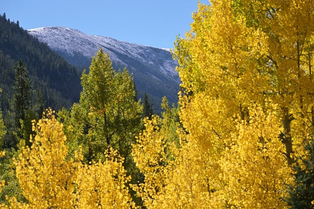 Fall colors seen at Guanella Pass in Georgetown, Colorado on Wednesday, Sept. 24, 2025. (Photo by Hyoung Chang/The Denver Post)