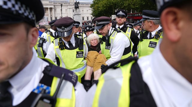 More than 400 arrested in london as pro palestine protest goes ahead despite pleas