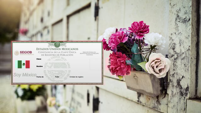 Recomiendan dar de baja la CURP de personas fallecidas para evitar fraudes. Foto: Canvas y Consulado de México